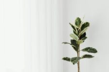 Minimalist Wall Decor Ideas That Don’t Look Empty