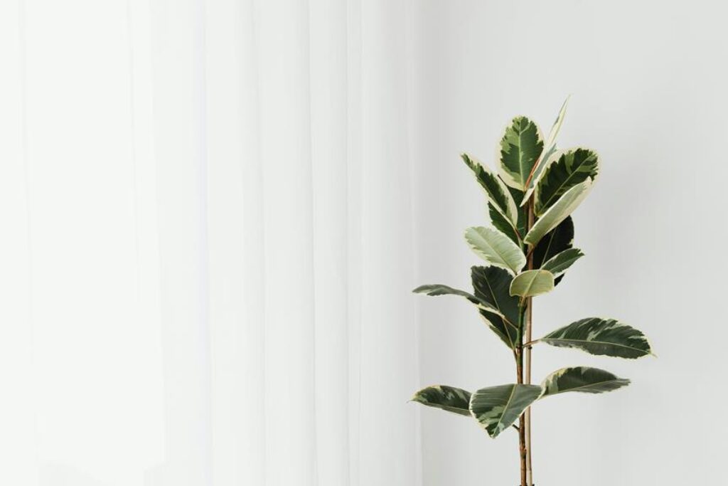 Minimalist Wall Decor Ideas That Don’t Look Empty Minimalist Wall Decor Ideas That Don’t Look Empty